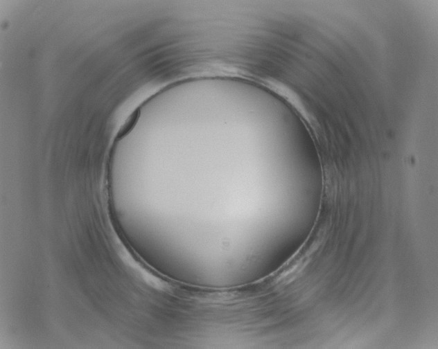 X0000073931387200609011823