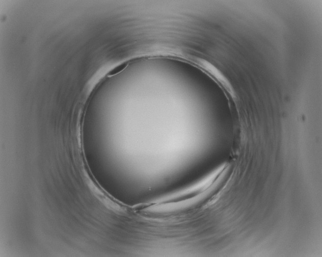 X0000073931388200609011823