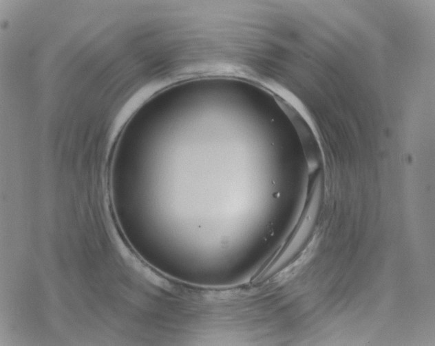 X0000073931389200609011823