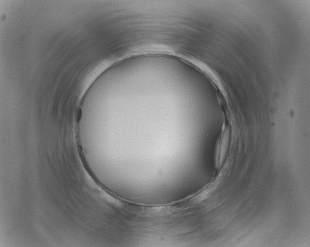 X0000073931390200609011823