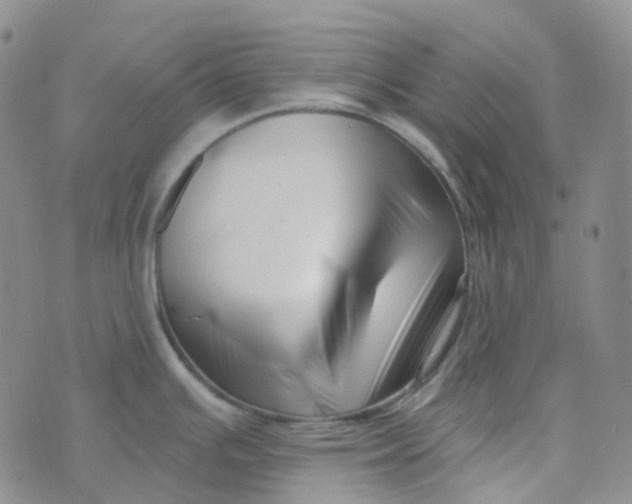 X0000073931391200609011823