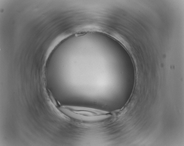 X0000073931392200609011823