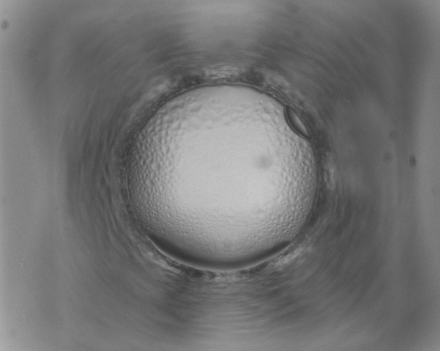 X0000073931393200609011822