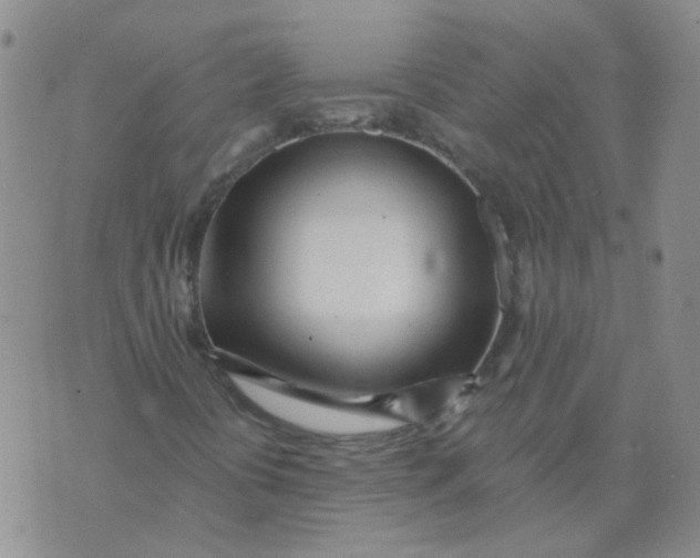 X0000073931394200609011822