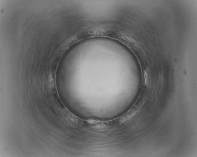 X0000073931395200609011822