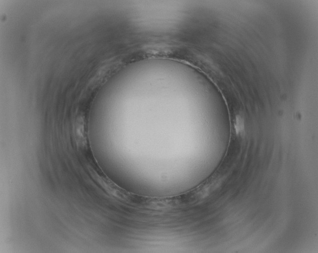 X0000073931396200609011822