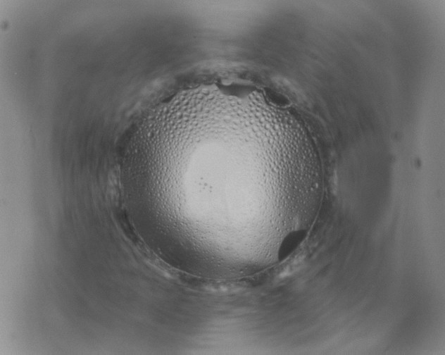 X0000073931397200609011822