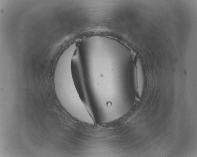 X0000073931398200609011822