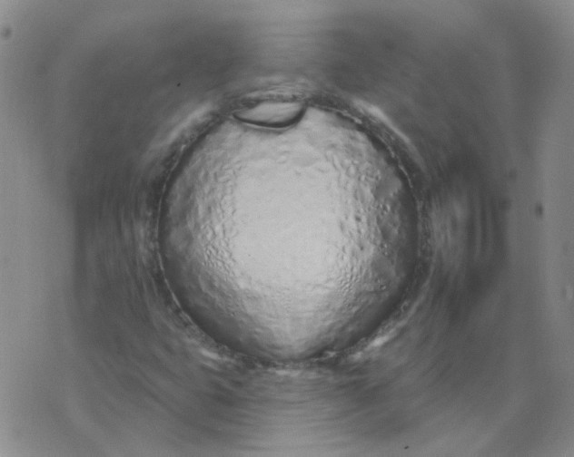 X0000073931399200609011823