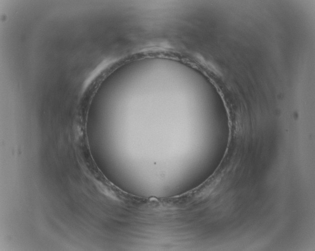 X0000073931400200609011823