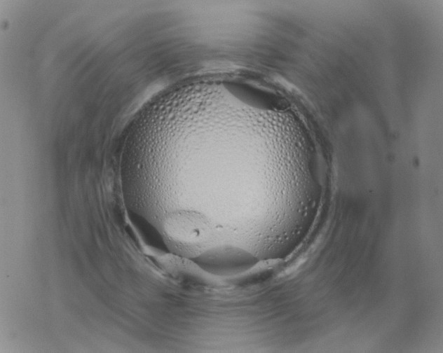 X0000073931401200609011823