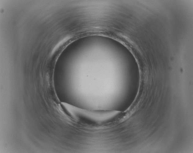 X0000073931402200609011823