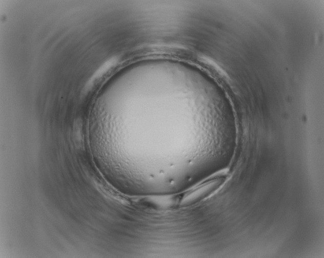 X0000073931403200609011823