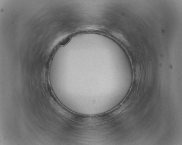 X0000073931404200609011823