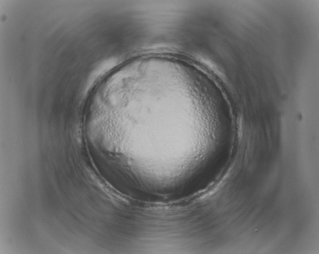 X0000073931405200609011823