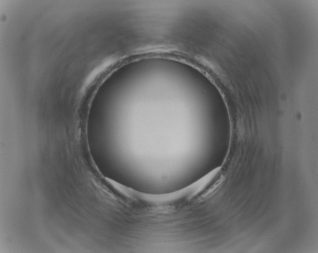 X0000073931406200609011823