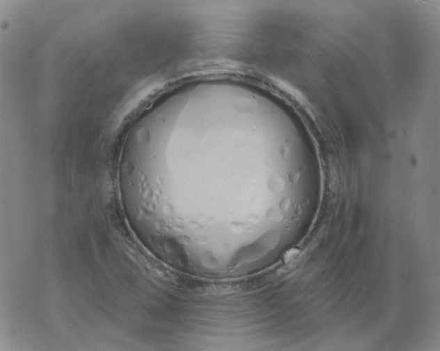 X0000073931407200609011823