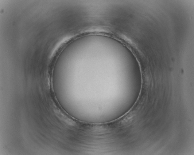 X0000073931408200609011823