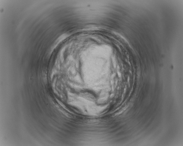 X0000073931409200609011823