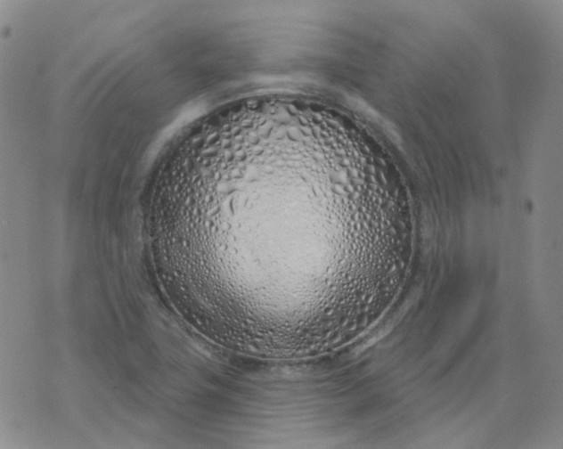 X0000073931411200609011823