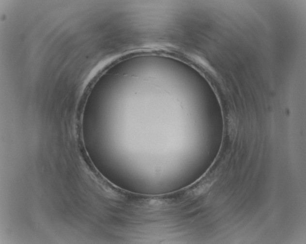 X0000073931412200609011823