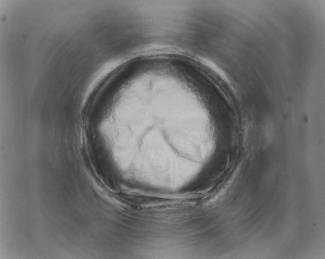 X0000073931413200609011823