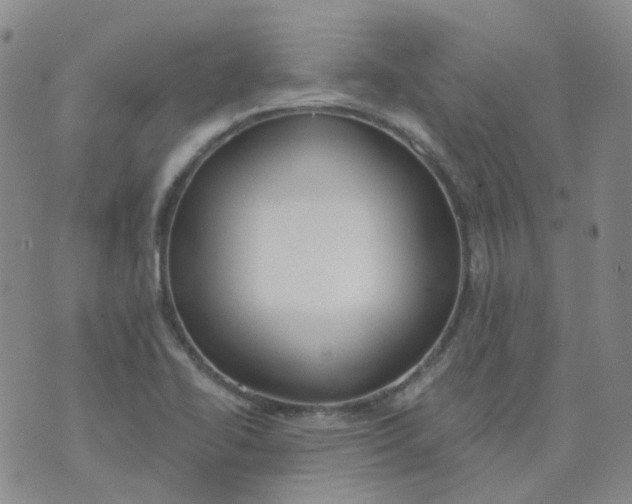 X0000073931414200609011823