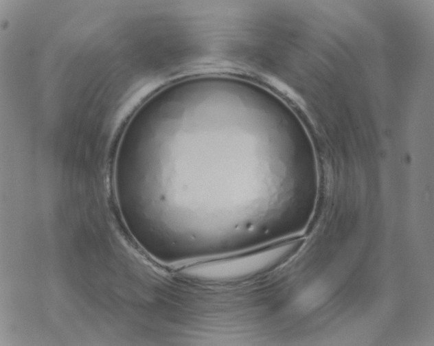 X0000073931415200609011823