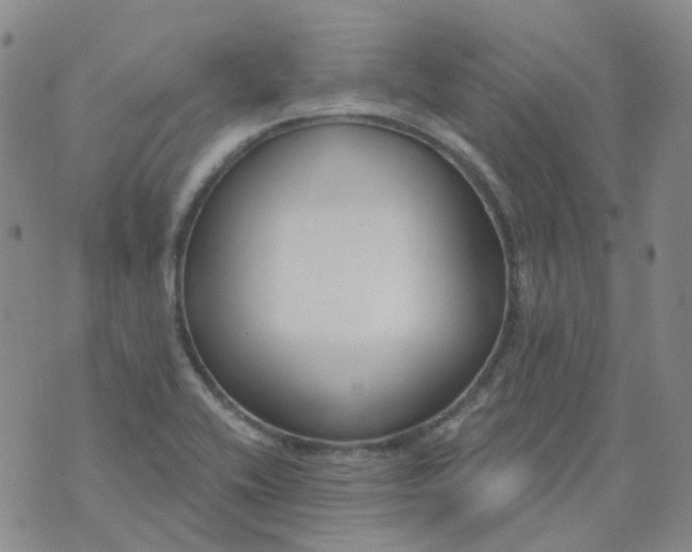 X0000073931416200609011823