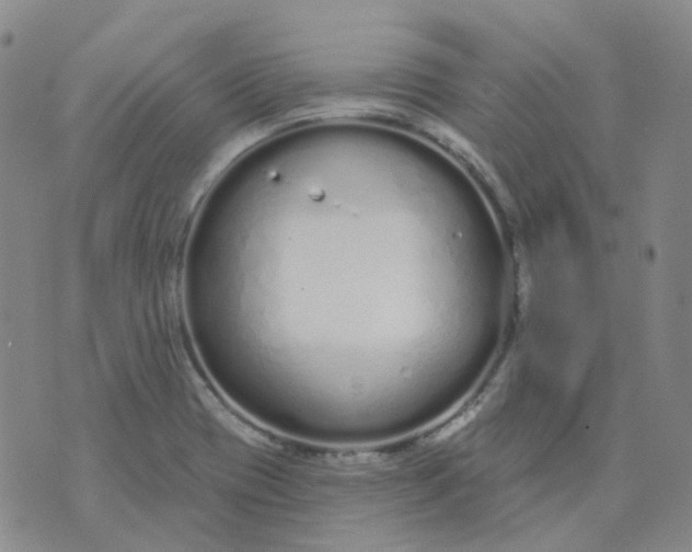 X0000073931417200609011823