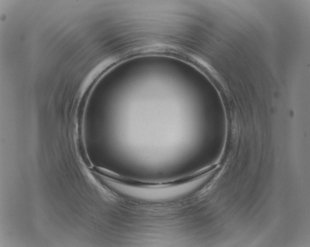 X0000073931418200609011823