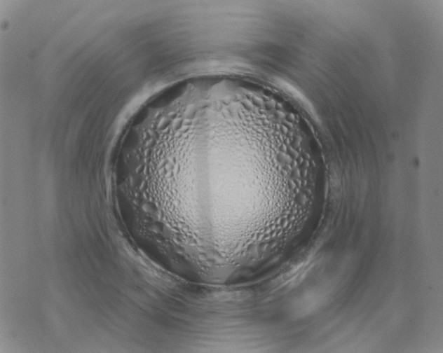 X0000073931419200609011823