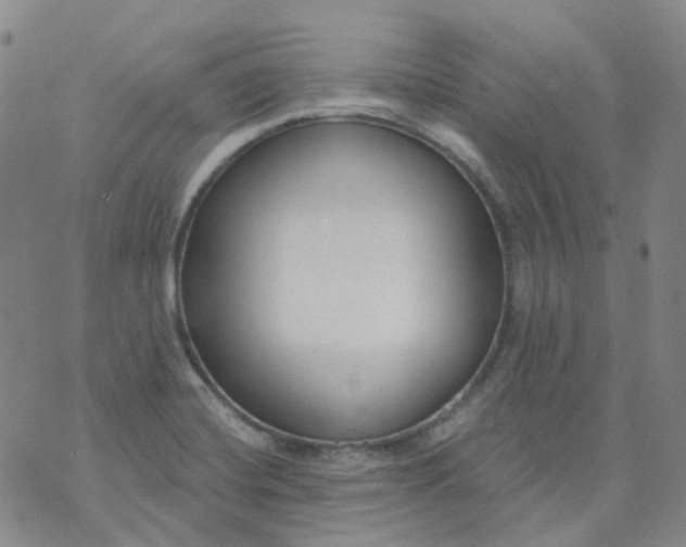 X0000073931420200609011823