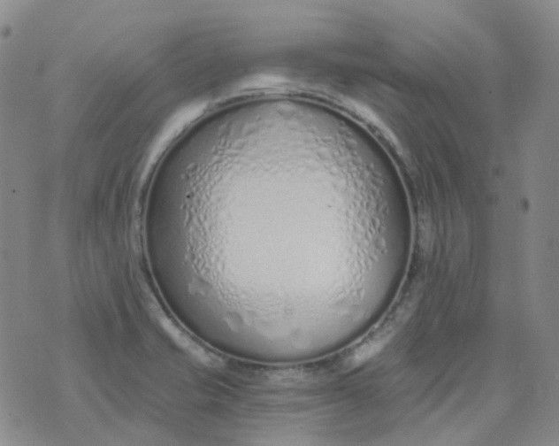 X0000073931421200609011823