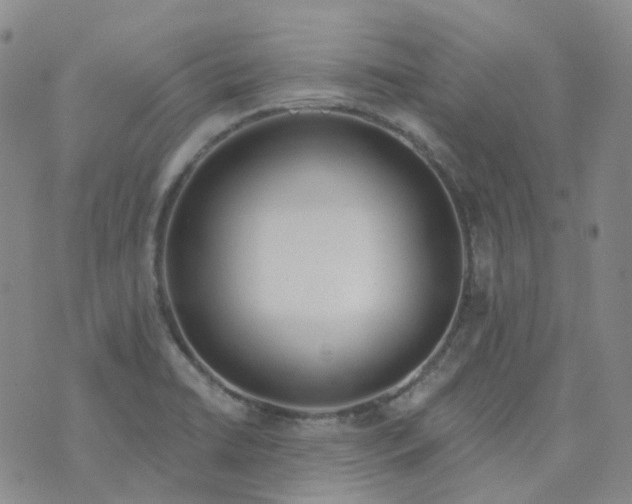 X0000073931422200609011823