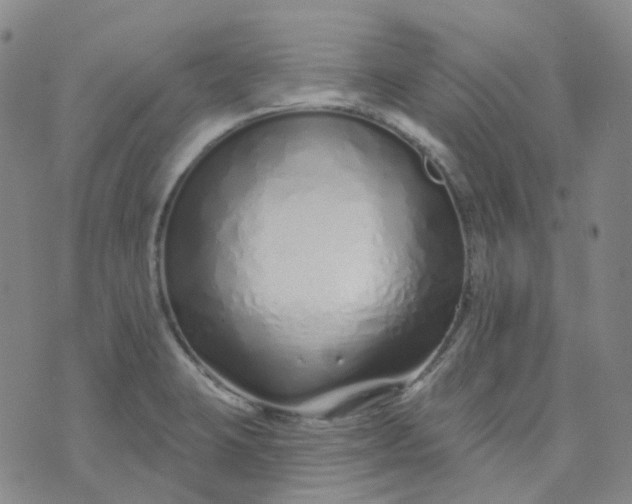 X0000073931423200609011823