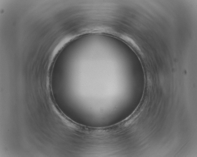 X0000073931424200609011823