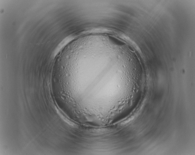 X0000073931425200609011823