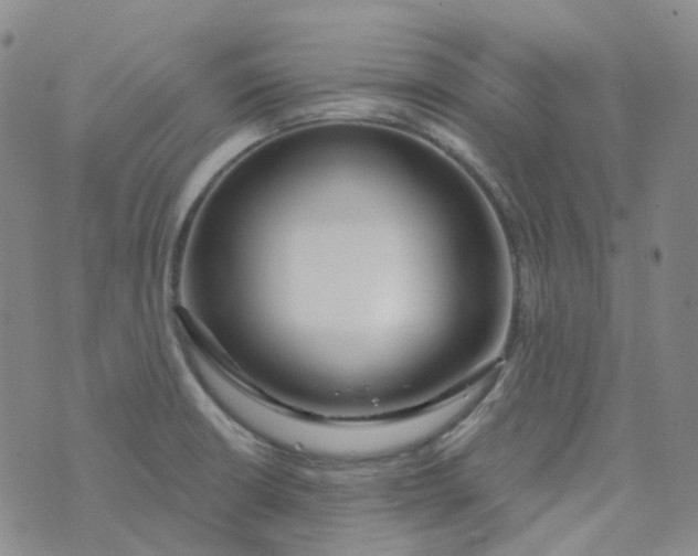 X0000073931426200609011823