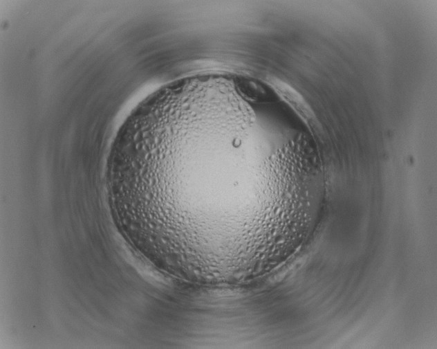 X0000073931427200609011823