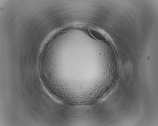 X0000073931429200609011823