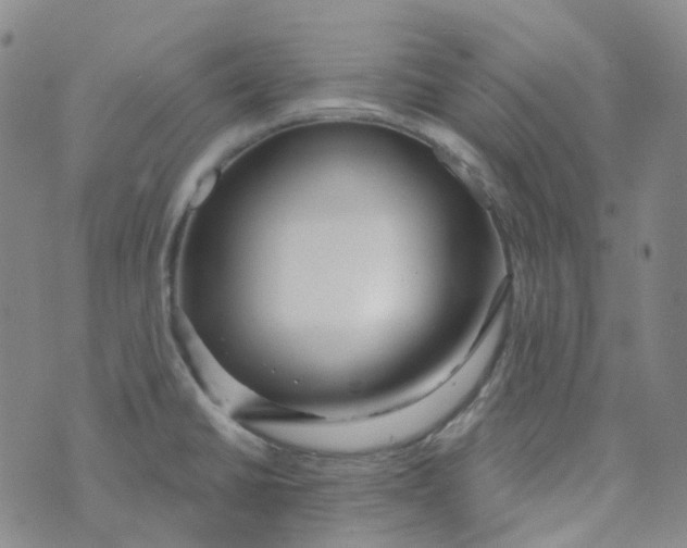 X0000073931430200609011823