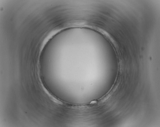 X0000073931432200609011823