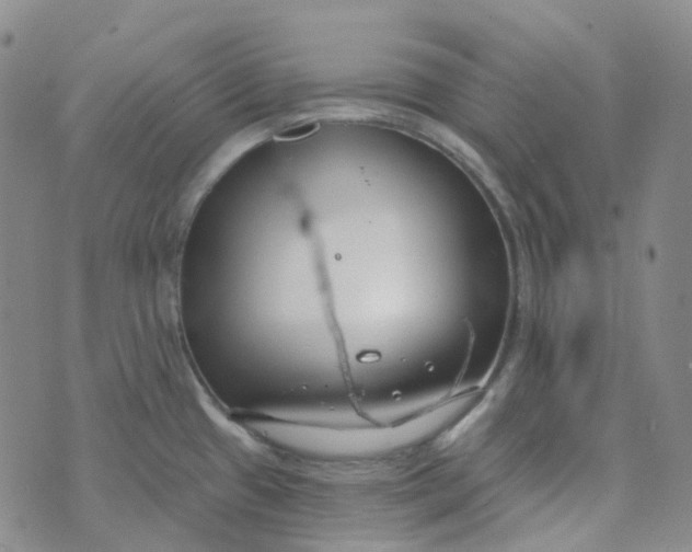 X0000073931433200609011823