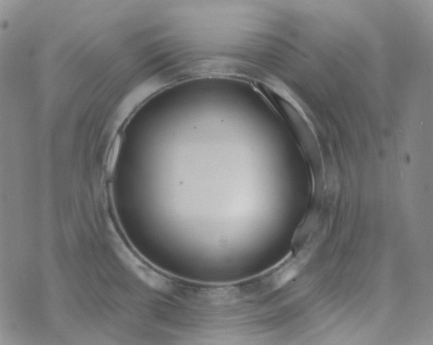 X0000073931434200609011823