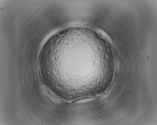 X0000073931435200609011823