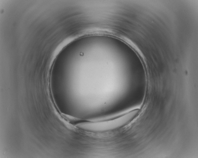 X0000073931437200609011823