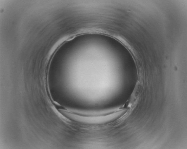 X0000073931438200609011823