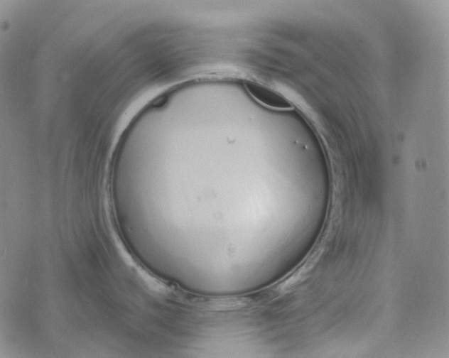 X0000073931440200609011823