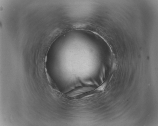 X0000073931441200609011822